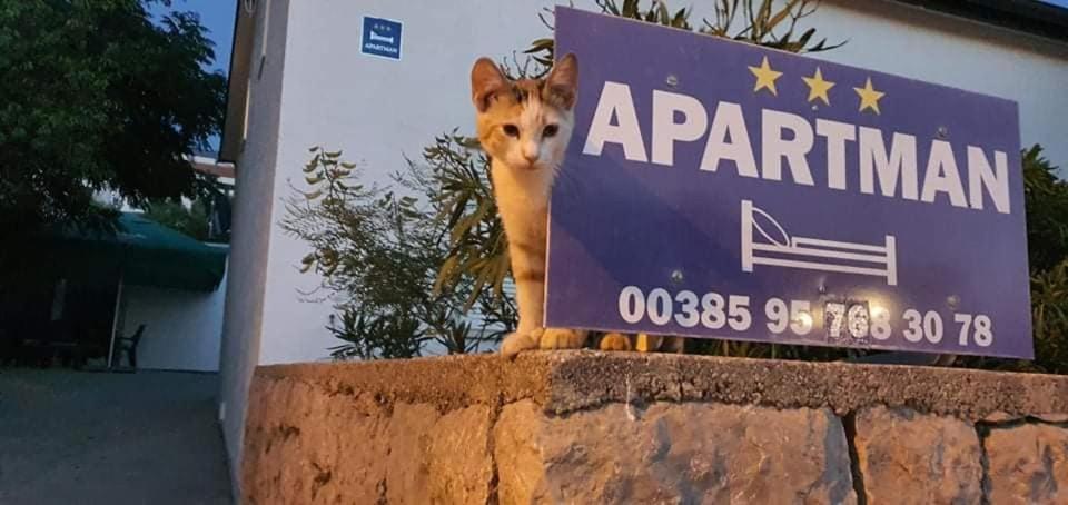 Apartman Zahira Karlobag Buitenkant foto
